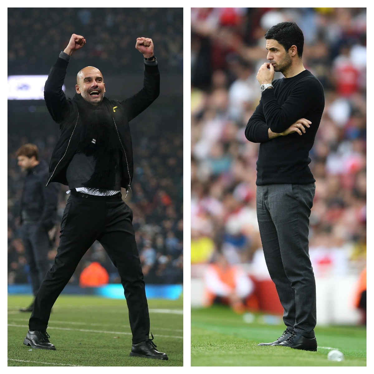 阿扎伦卡最新消息